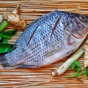 Tilapia (Whole Fish 600g to 1kg)